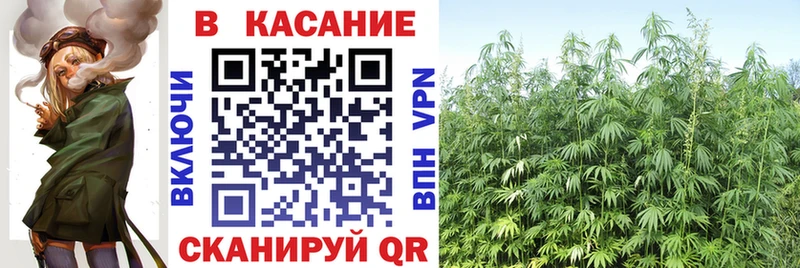 Виды наркоты Киселёвск Псилоцибиновые грибы  Меф мяу мяу  Гашиш  АМФЕТАМИН  Конопля  A PVP 