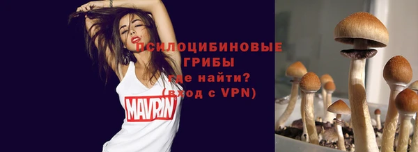 ешки Медвежьегорск