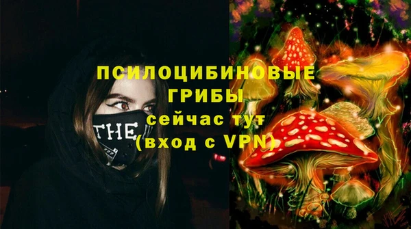 ешки Медвежьегорск