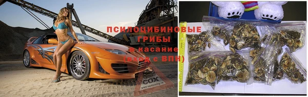 ешки Медвежьегорск