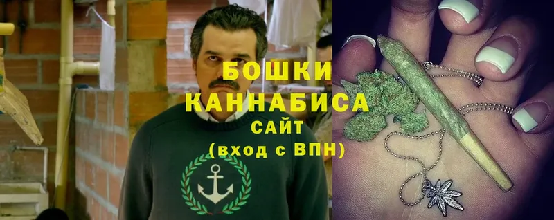 Конопля SATIVA & INDICA  Киселёвск 